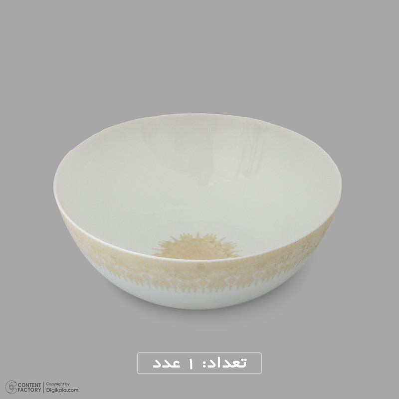 سرویس غذاخوری اوپال 26 پارچه 6 نفره دینو مدل گرد کلاسیک ورژن 3 26007