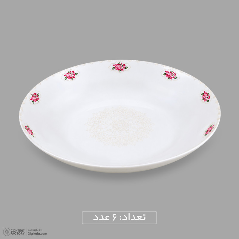 سرویس غذاخوری اوپال 26 پارچه 6 نفره دینو مدل گرد کلاسیک ورژن 3 لوستر کد 139