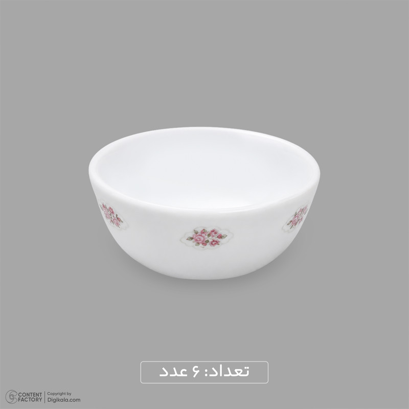 سرویس غذاخوری اوپال 26 پارچه 6 نفره دینو مدل گرد کلاسیک ورژن 3 لوستر کد 139
