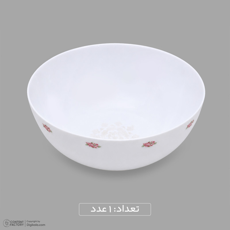 سرویس غذاخوری اوپال 26 پارچه 6 نفره دینو مدل گرد کلاسیک ورژن 3 لوستر کد 139