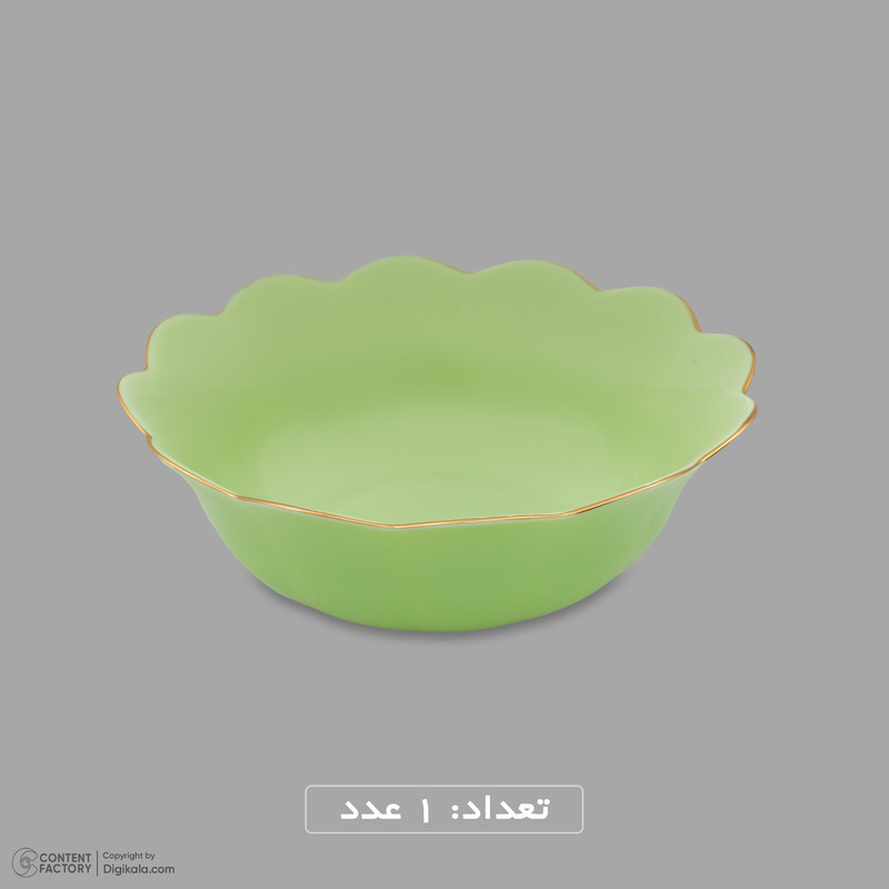 سرویس غذاخوری اوپال 26 پارچه 6 نفره گلدن اوپال مدل Florina